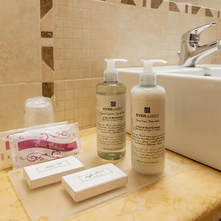 Venice Airport Hotel 4*